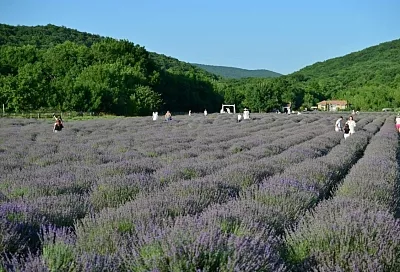 1,7 млн туристов планирует принять Новороссийск в 2025 году