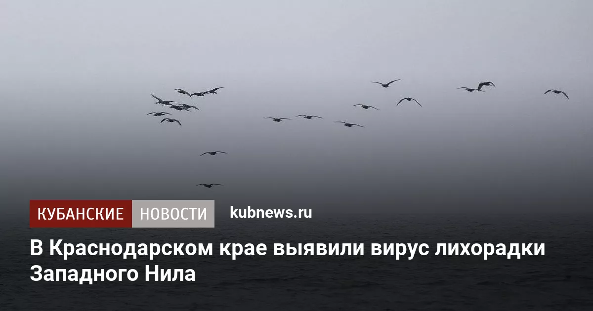 В Краснодарском крае выявили вирус лихорадки Западного Нила