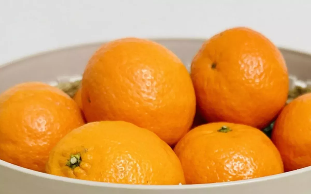 Около 183 тысяч тонн импортных фруктов ввезено в январе на территорию Краснодарского края 