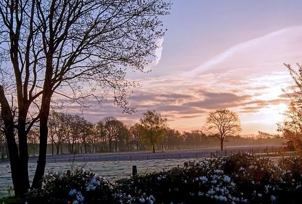 Народные приметы на сегодня – 15 апреля, что можно и нельзя делать в Поликарпов день 