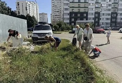 В Краснодаре на субботниках очистили более 92 тыс. квадратных метров территорий
