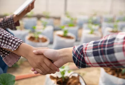 На Кубани на поддержку сельхозкооперативов в 2026 году направят 140 млн рублей