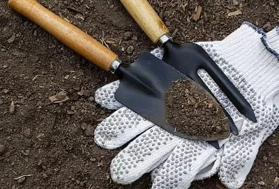 Немного песка в грунт для рассады – и летом огребусь урожаем: вот в чём секрет плодородия