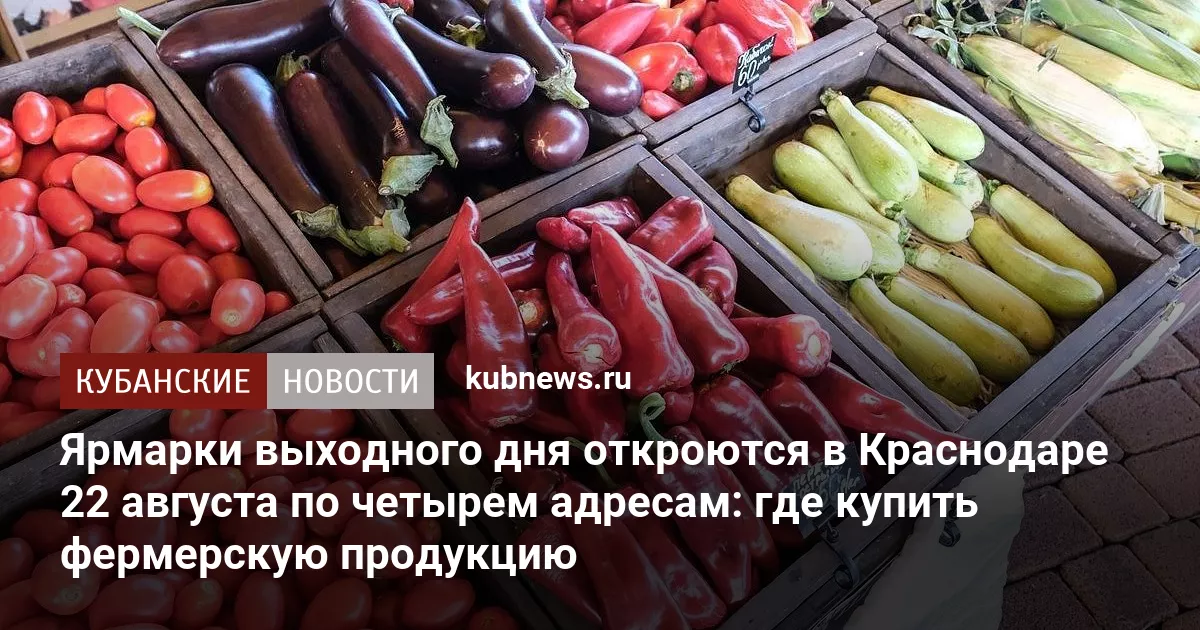 Ярмарки выходного дня откроются в Краснодаре 22 августа по четырем адресам: где купить фермерскую продукцию
