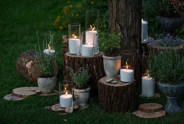 Цветущие по луной: Топ-5 многолетников, которые распускаются и благоухают ночью