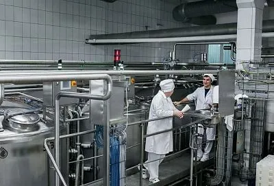 Наращиваем переработку: выпуск и экспорт кубанских сгущенных молочных консервов активно растет