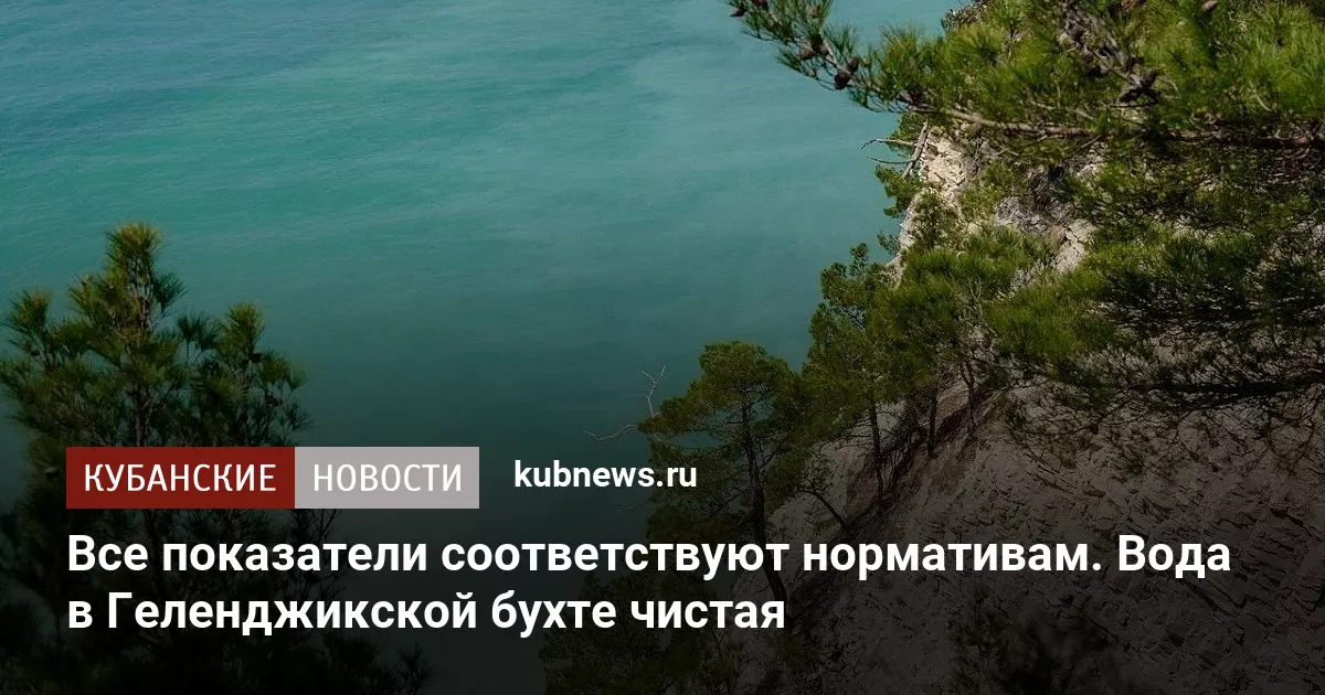Все показатели соответствуют нормативам. Вода в Геленджикской бухте чистая
