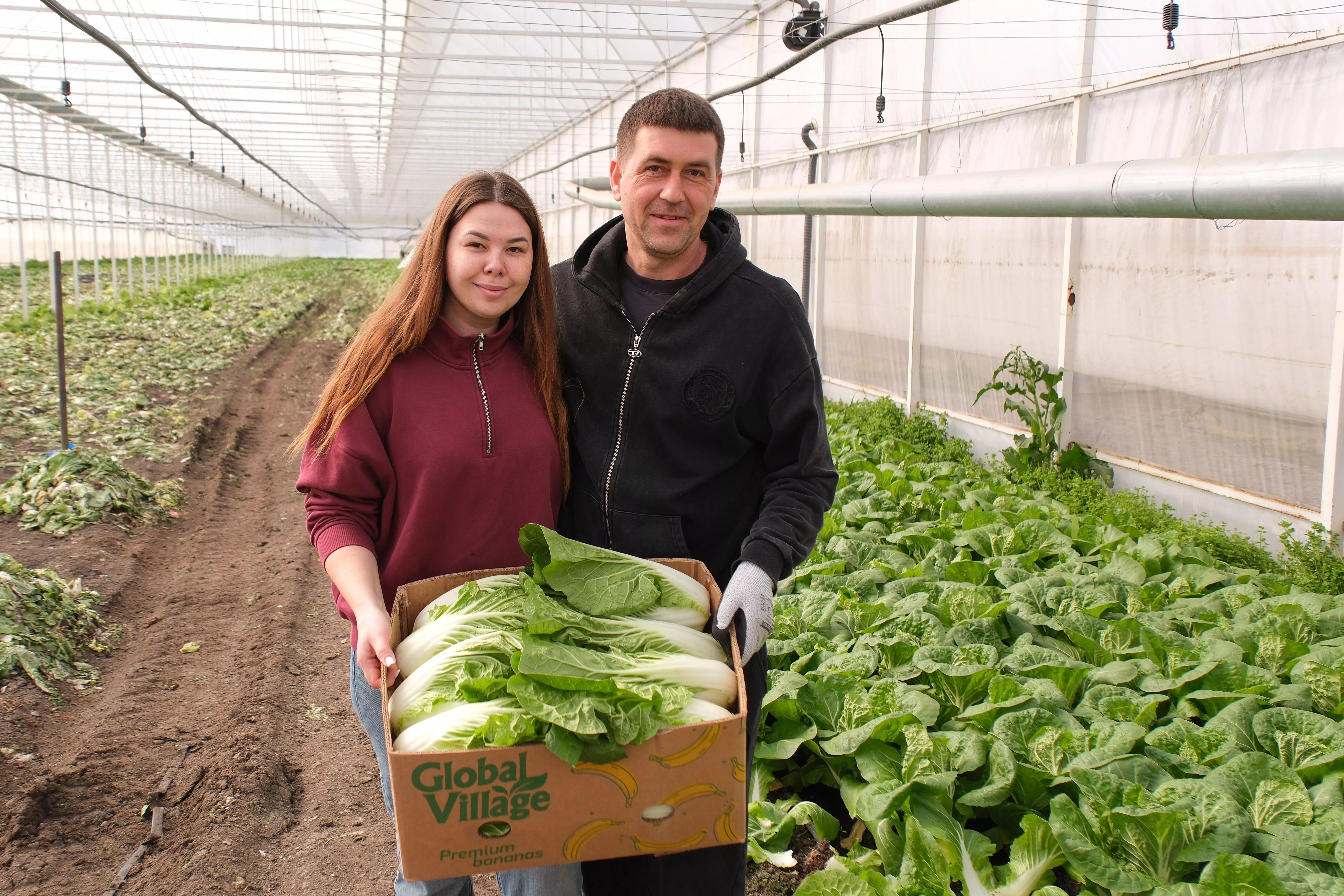 Семейное дело: как кубанские фермеры приумножают аграрное наследие