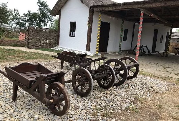 На Кубани создадут мультимедийный учебный курс по региональной истории 