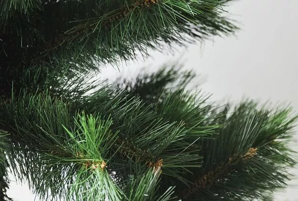 Средство от проволочника прямо под рукой