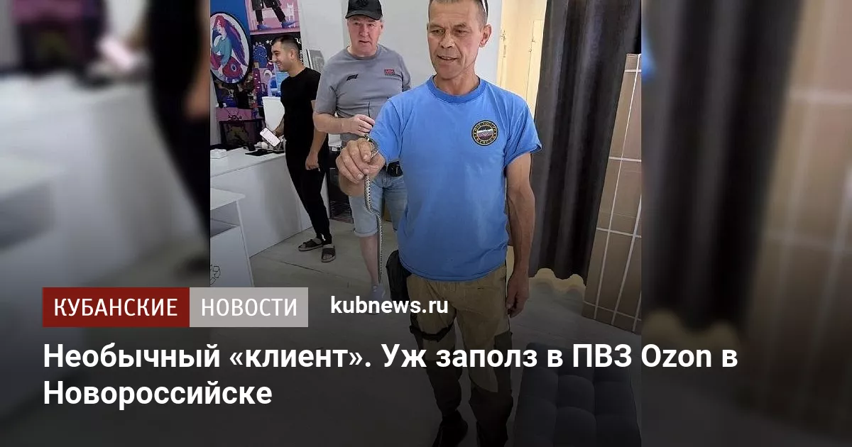 Необычный «клиент». Уж заполз в ПВЗ Ozon в Новороссийске