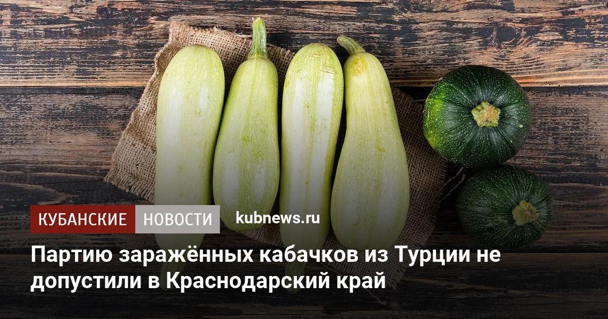 Партию заражённых кабачков из Турции не допустили в Краснодарский край