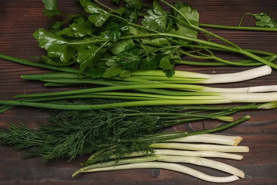 Морозим, сушим или солим: какой способ хранения выбрать для зелени, овощей и фруктов