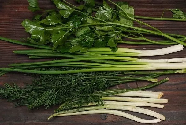 Морозим, сушим или солим: какой способ хранения выбрать для зелени, овощей и фруктов