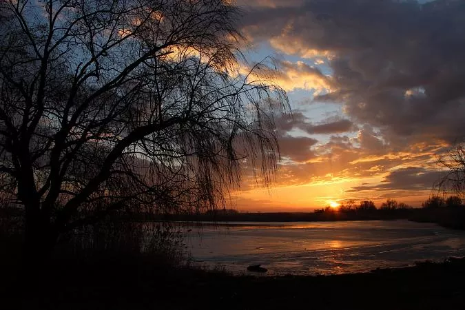 Зимнее утро на Челбасе