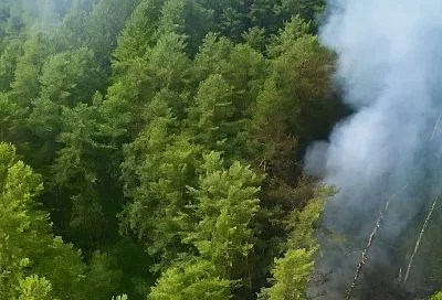 Родственникам погибших при крушении самолета Ан-24 в Приамурье выплатят компенсацию