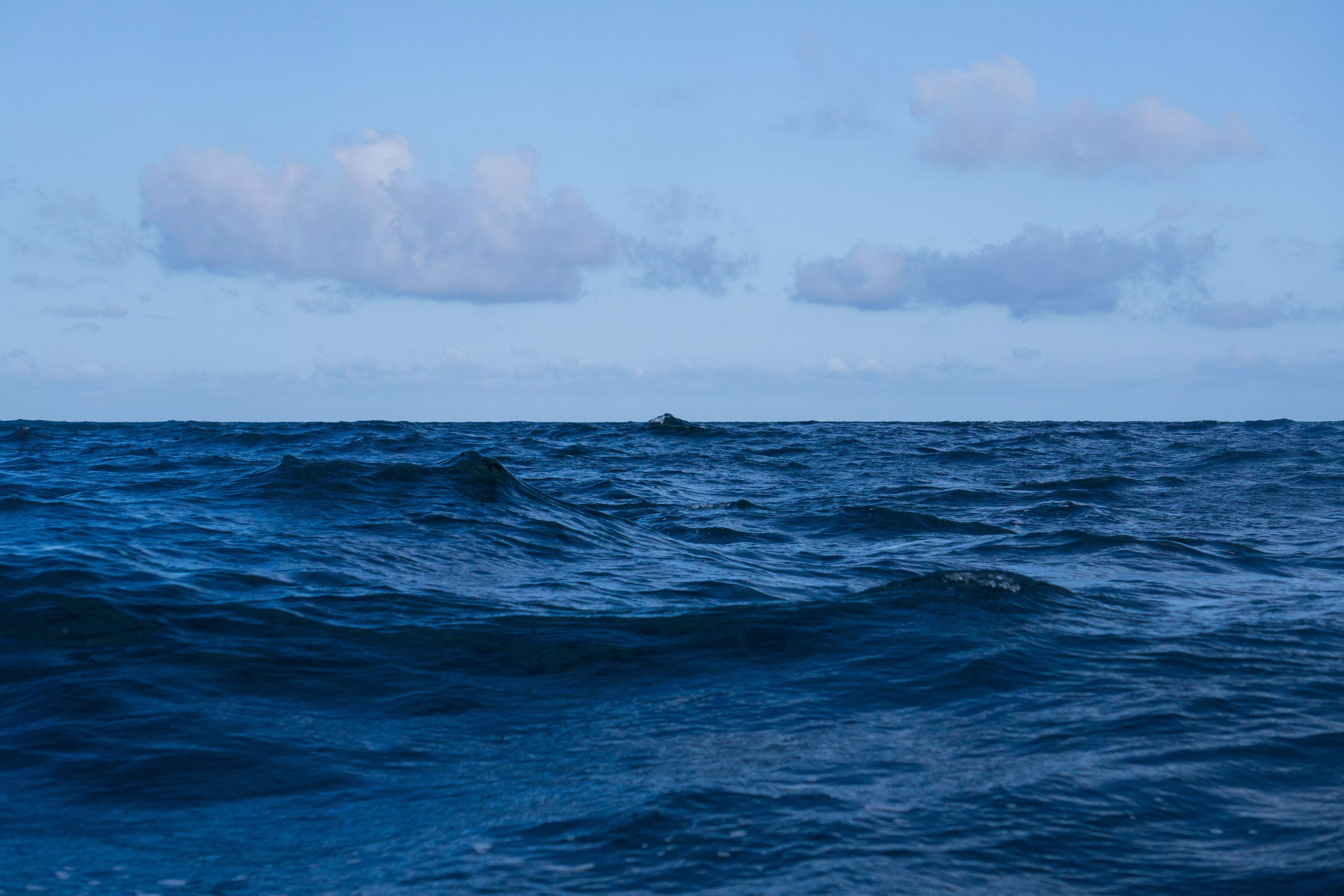 Боевой дрон ВСУ уничтожен над Черным морем