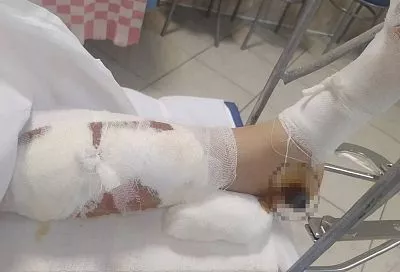 Лантратова просит проверить отказ завести дело о наезде на ребенка в Краснодаре