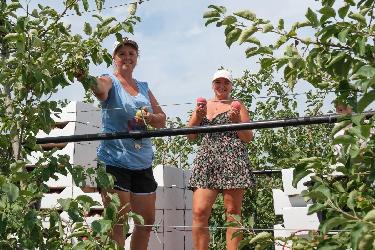 Хутор Веселая Жизнь на Кубани вошел в топ населенных пунктов РФ с самыми забавными названиями