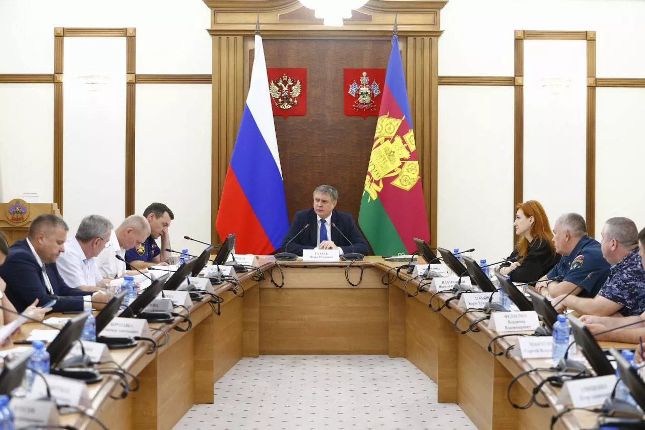 Предварительные итоги пожароопасного сезона и безопасность на пляжах обсудили в Краснодаре