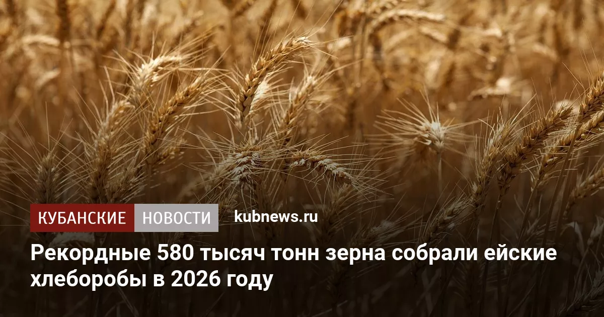 Рекордные 580 тысяч тонн зерна собрали ейские хлеборобы в 2026 году