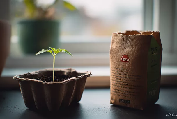 Пакеты из-под молока, кефира или кофе — отличные горшочки для рассады: делаю сама и экономлю