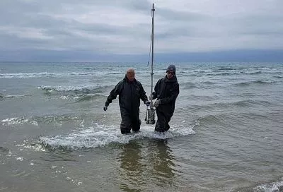 Без признаков угнетения: ученые отмечают восстановление Черноморского побережья после разливов мазута