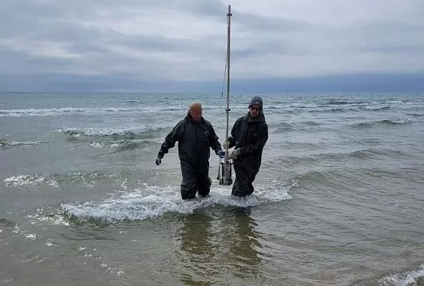 Без признаков угнетения: ученые отмечают восстановление Черноморского побережья после разливов мазута
