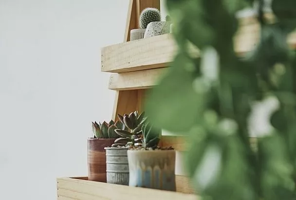 Этажерка для Цветов: Как Создать Вертикальный Сад за 30 Минут (Пошаговый Гайд)