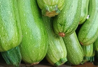 Цукаты из кабачков: восточная сказка зимними вечерами