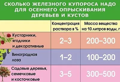 Железный купорос в осеннем саду: ваше супероружие против болезней растений