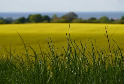 Народные приметы на сегодня – 18 апреля, что можно и нельзя делать в день Федула Ветренника