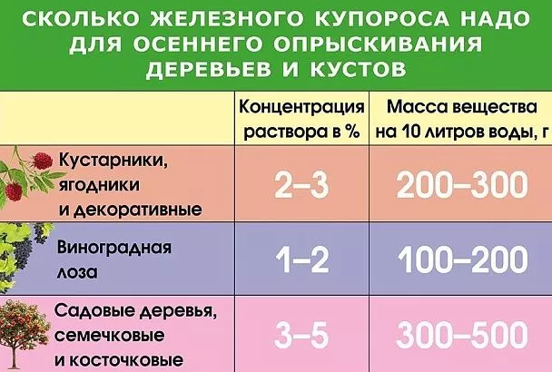Железный купорос в осеннем саду: ваше супероружие против болезней растений