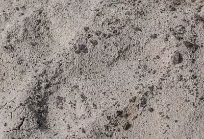 Загрязненный нефтепродуктами грунт продолжают собирать в Темрюкском районе