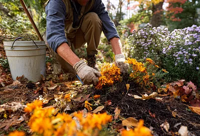 Осенний уход за цветником: как помочь почве и растениям до заморозков