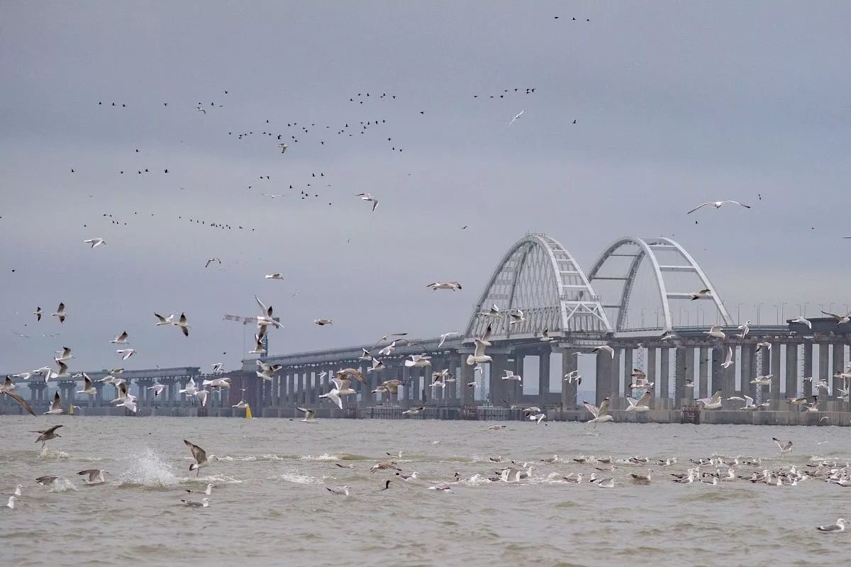 Зимняя подкормка пернатых – один из этапов экопрограммы проекта моста. Зимняя подкормка пернатых – один из этапов экопрограммы проекта моста.