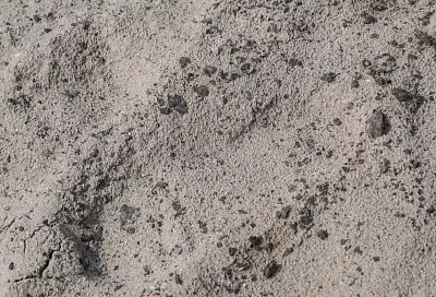 Около 1 км берега очистили от новых выбросов мазута в Темрюкском районе