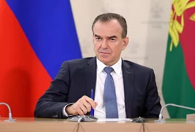 В 2025 году озимыми культурами на Кубани засеяли 1 миллион 800 тысяч гектаров