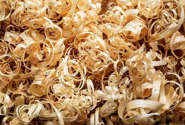 Опилочная диета: простой и экологичный способ борьбы с жированием томатов и других овощных культур