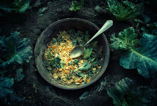 Как использовать просроченную крупу для оздоровления почвы 