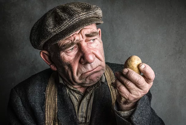 Почему картошка в горшке не уродилась: три главные ошибки новичков