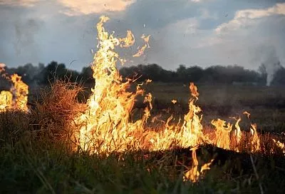 На Кубани сохраняется чрезвычайный уровень пожароопасности