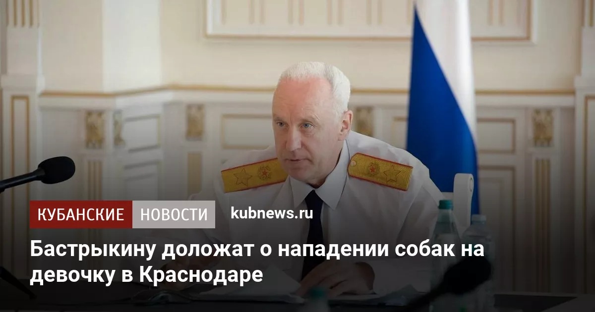 Бастрыкину доложат о нападении собак на девочку в Краснодаре