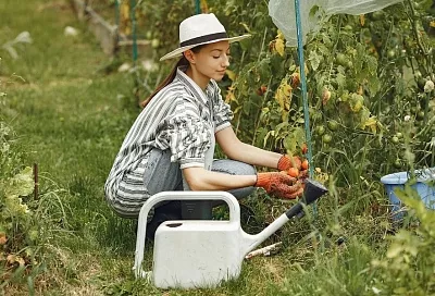 Лунный календарь садовода со 2 по 8 августа: в какие дни в огороде пахать и пахать, а в какие все будет бесполезно