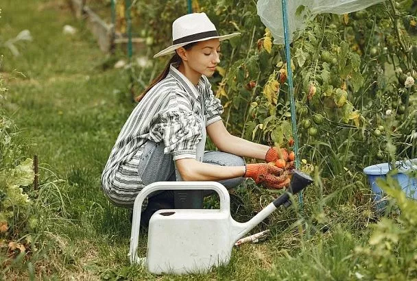 Лунный календарь садовода со 2 по 8 августа: в какие дни в огороде пахать и пахать, а в какие все будет бесполезно