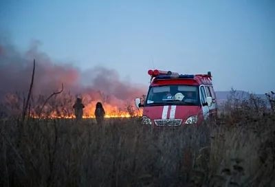 Причиной крупного пожара в плавнях под Анапой стал поджог 