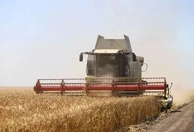 На Кубани стартовала уборочная кампания
