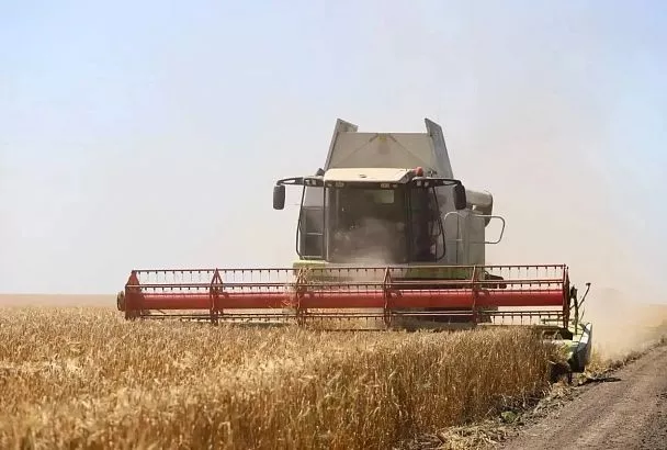 На Кубани стартовала уборочная кампания