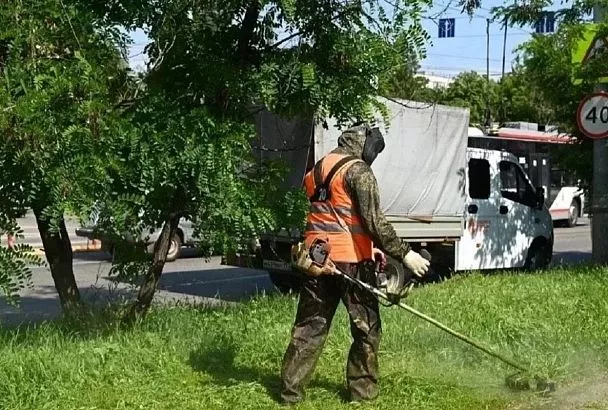В Краснодаре скосили сорняки на площади более 23 тыс. гектаров 