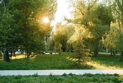 Новый арт-объект «Уютный парк» установили в хуторе Протичка
